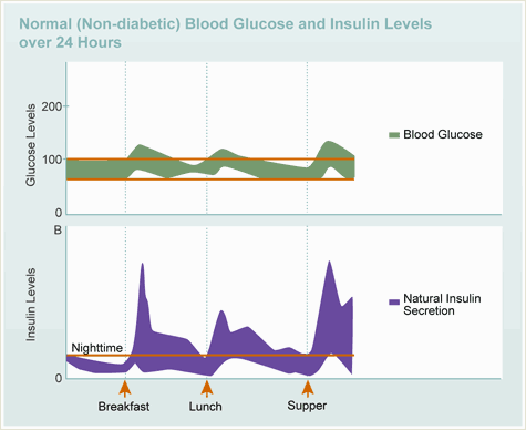 Normal (Non-diabetic) Blood Glucose and Insulin Levels over 24 Hours